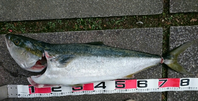56682d0100187