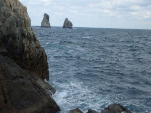 PA310496