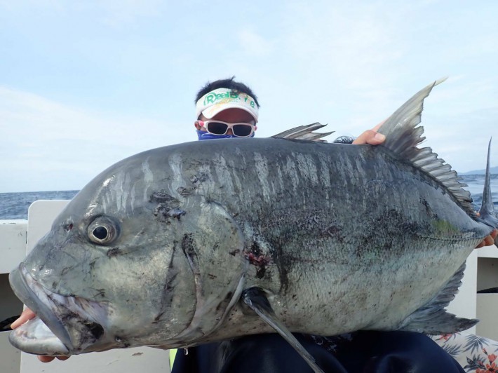 8954306305f115a4a7f757