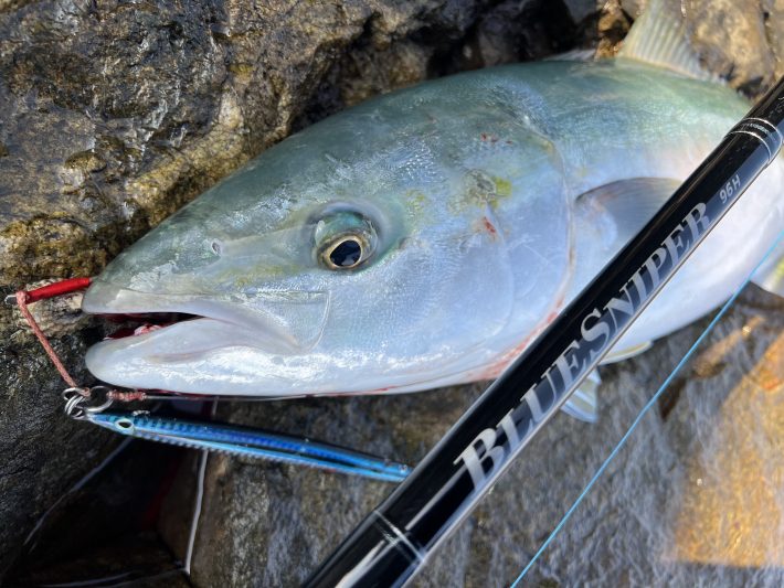 撃投ジグ・ポッパーセット 撃投ジグ・ポッパーセット